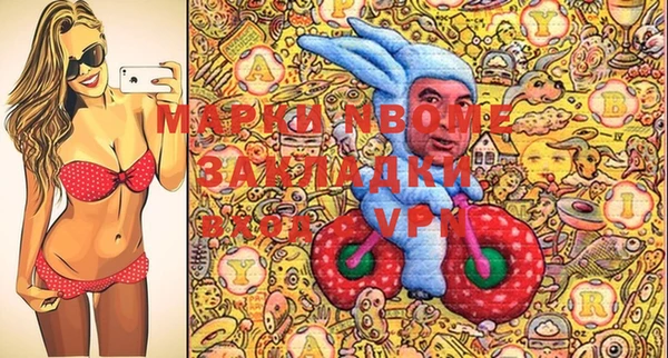 шишки Арсеньев