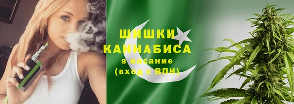 шишки Арсеньев