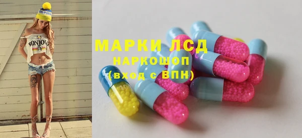 шишки Арсеньев