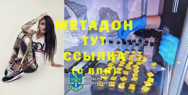 шишки Арсеньев