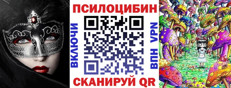 сколько стоит  Солигалич  Псилоцибиновые грибы прущие грибы 